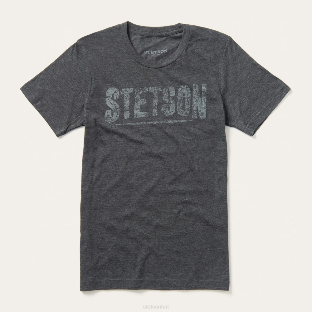 Stetson Distressed Graphic Tee Grey Men Apparel 00LX373