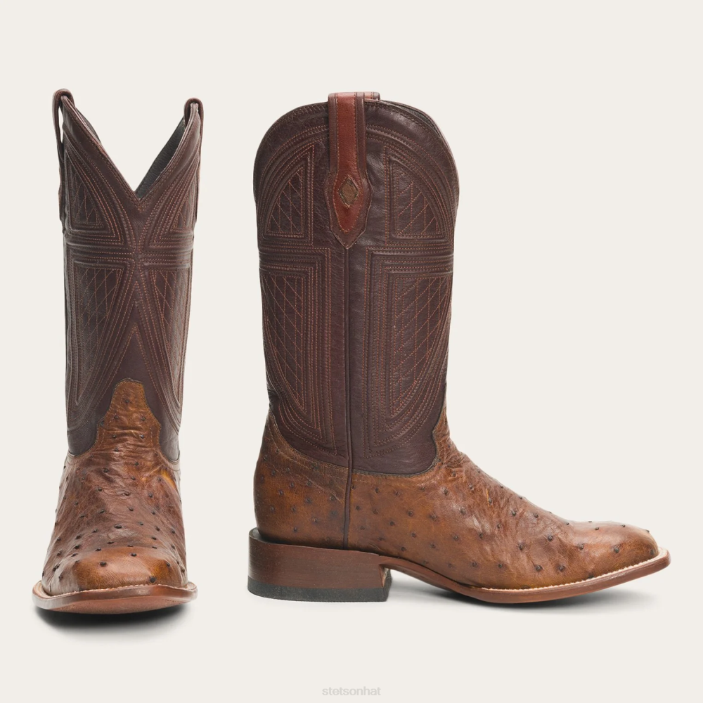 Stetson Jackson Boots Brown Men Footwear 00LX243