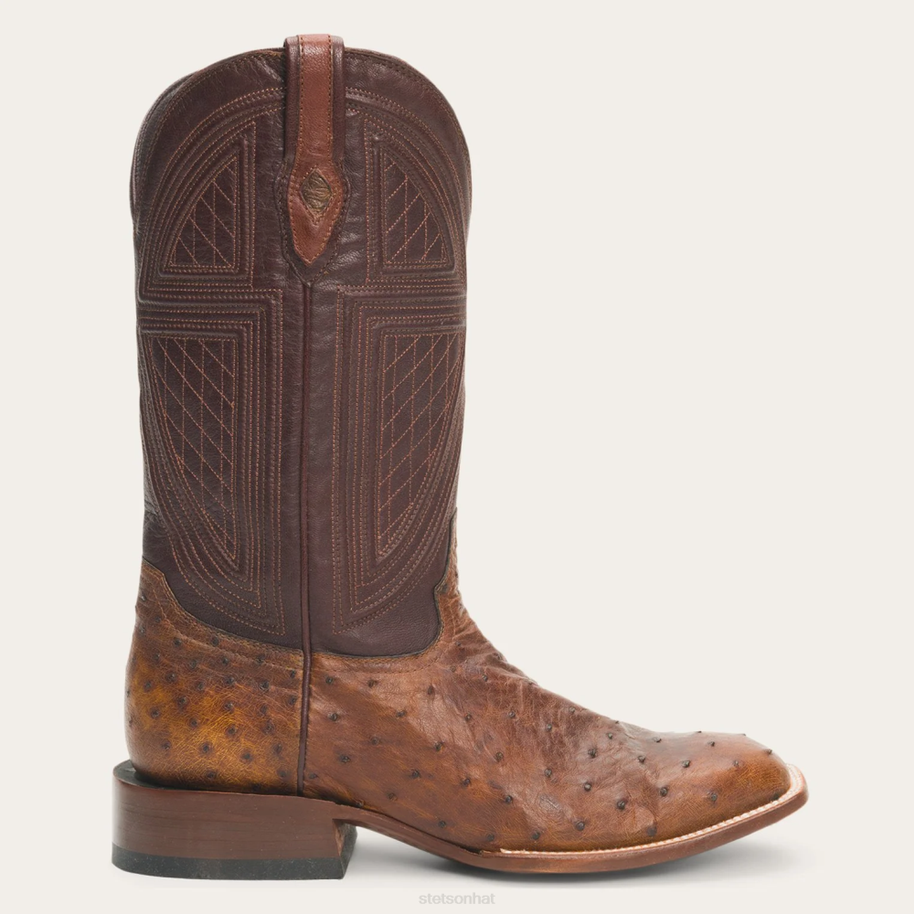 Stetson Jackson Boots Brown Men Footwear 00LX243