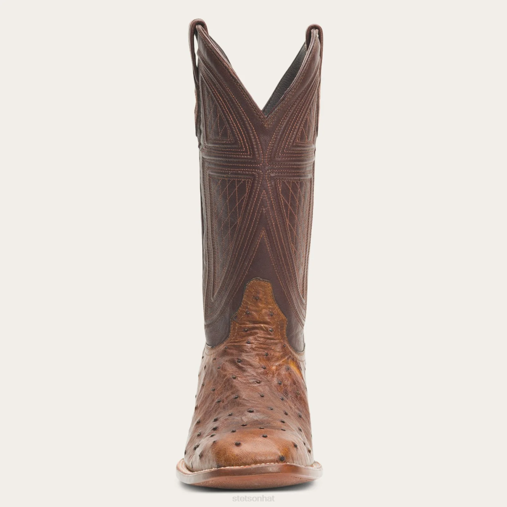 Stetson Jackson Boots Brown Men Footwear 00LX243