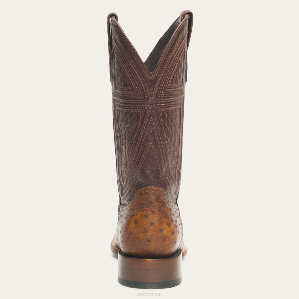 Stetson Jackson Boots Brown Men Footwear 00LX243