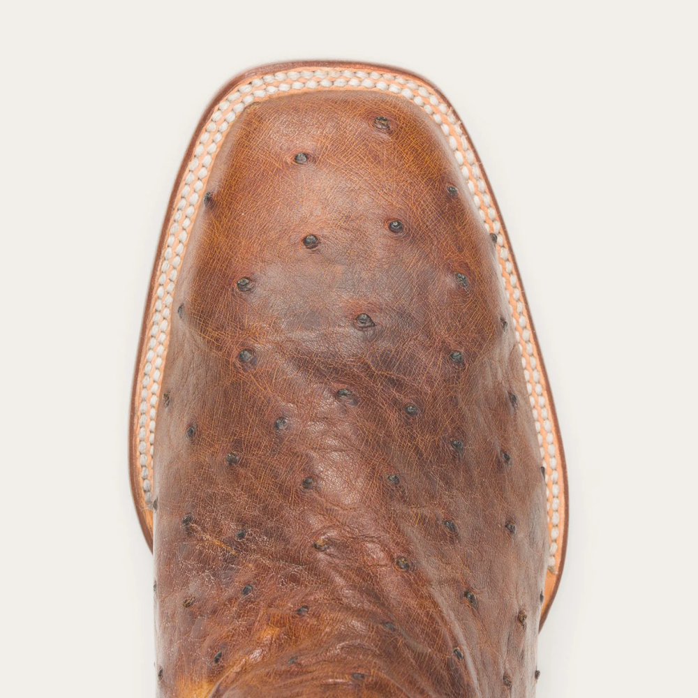 Stetson Jackson Boots Brown Men Footwear 00LX243