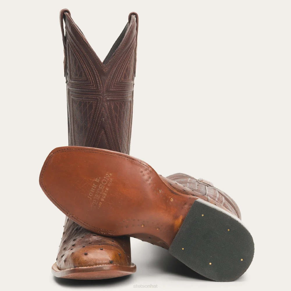Stetson Jackson Boots Brown Men Footwear 00LX243