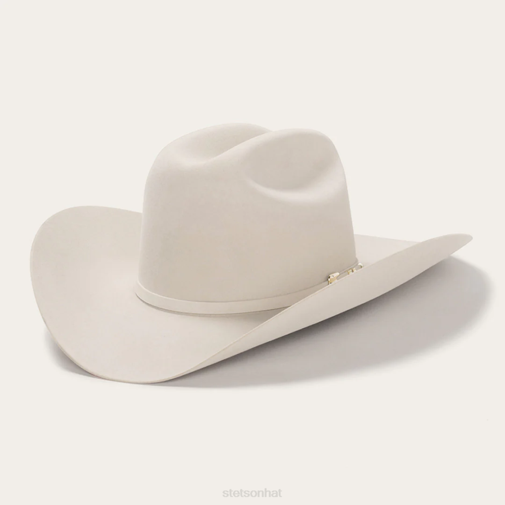 Stetson Diamante Premier Cowboy Silverbelly Unisex Headwear 00LX113