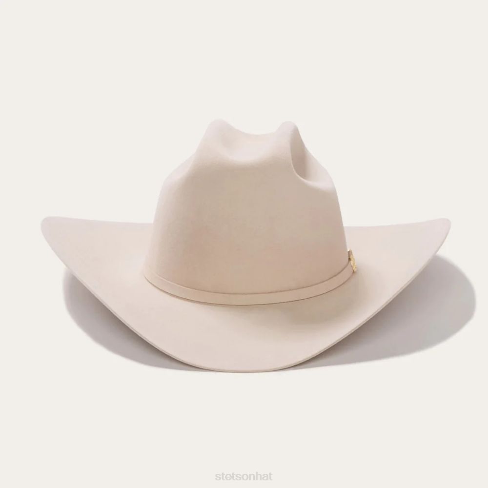 Stetson El Presidente 100X Premier Cowboy Hat Silverbelly Unisex Headwear 00LX2