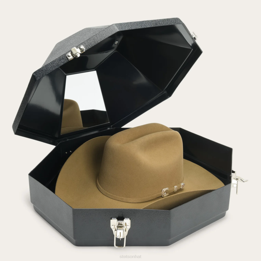 Stetson El Presidente 100X Premier Cowboy Hat Silverbelly Unisex Headwear 00LX2