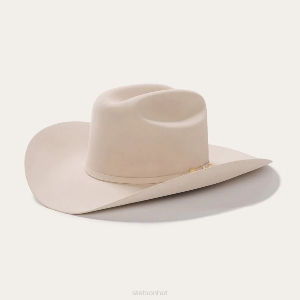 Stetson El Presidente 100X Premier Cowboy Hat Silverbelly Unisex Headwear 00LX2