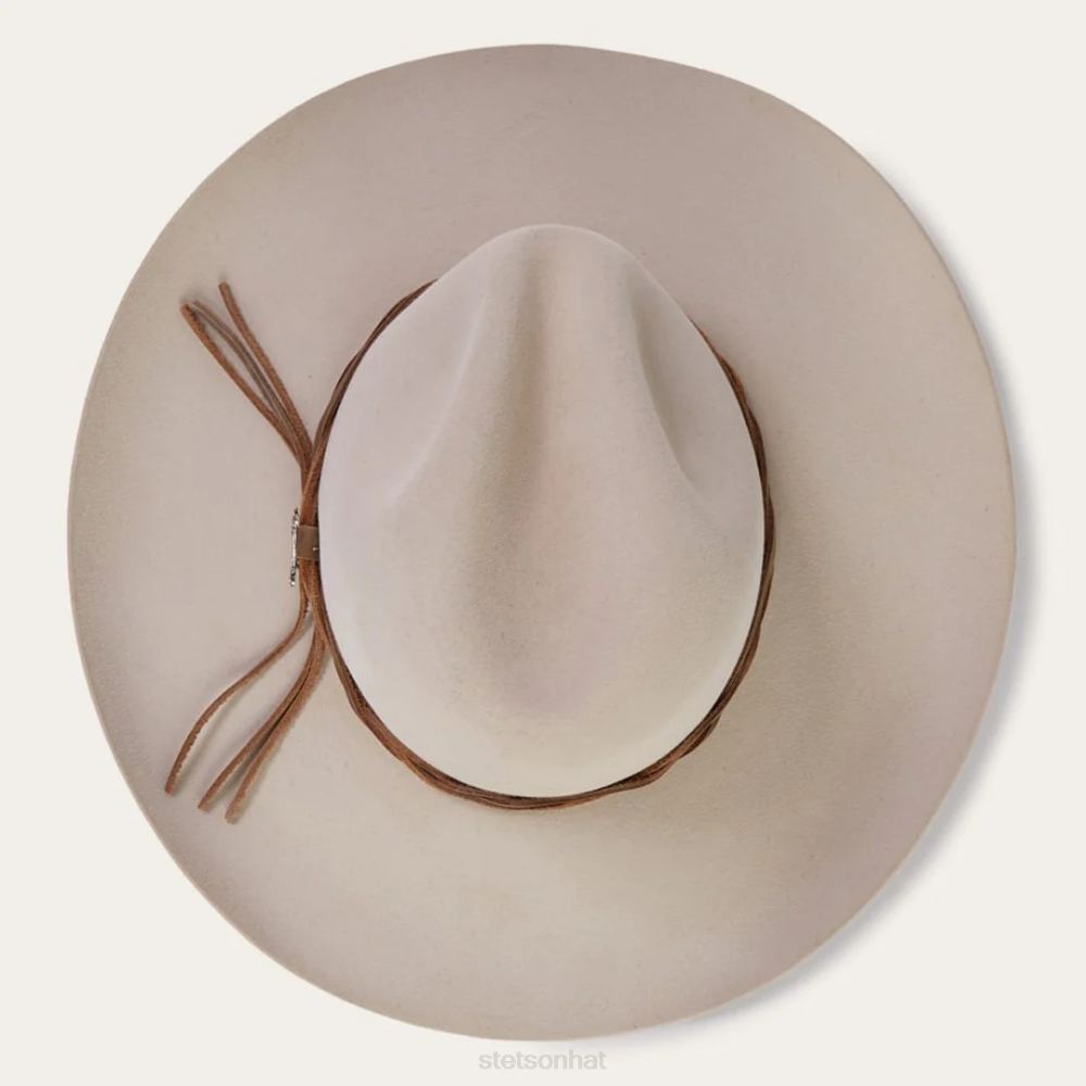Stetson Gus 6X Cowboy Hat Silverbelly Unisex Headwear 00LX19