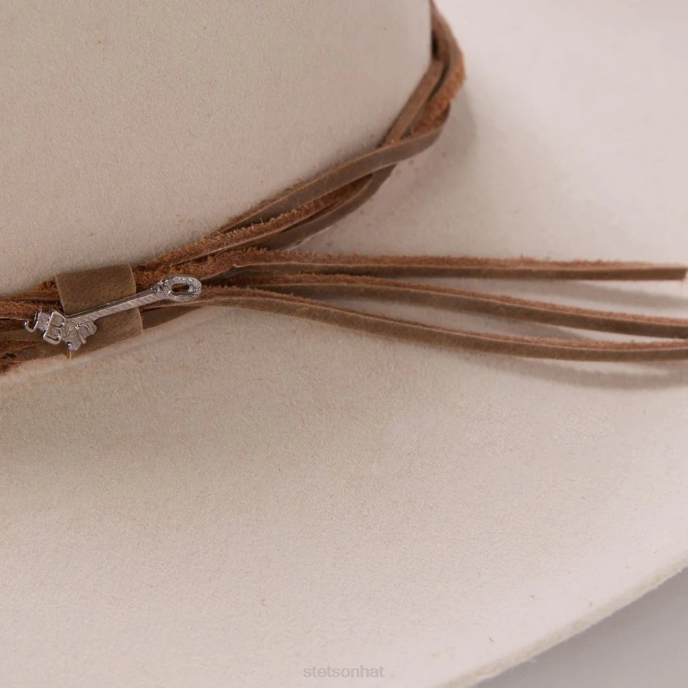Stetson Gus 6X Cowboy Hat Silverbelly Unisex Headwear 00LX19
