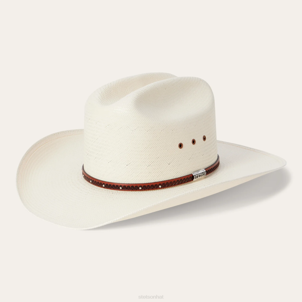 Stetson Haywood 10X Straw Cowboy Hat Natural Unisex Headwear 00LX167