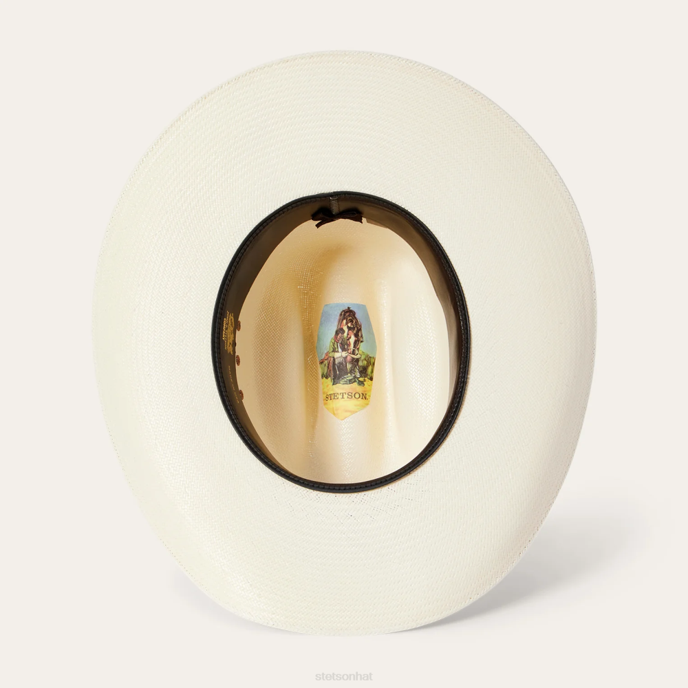 Stetson Haywood 10X Straw Cowboy Hat Natural Unisex Headwear 00LX167