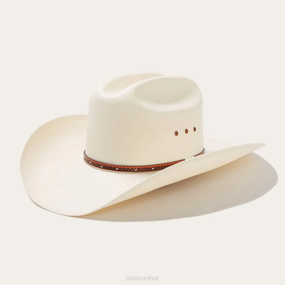 Stetson Haywood 10X Straw Cowboy Hat Natural Unisex Headwear 00LX178