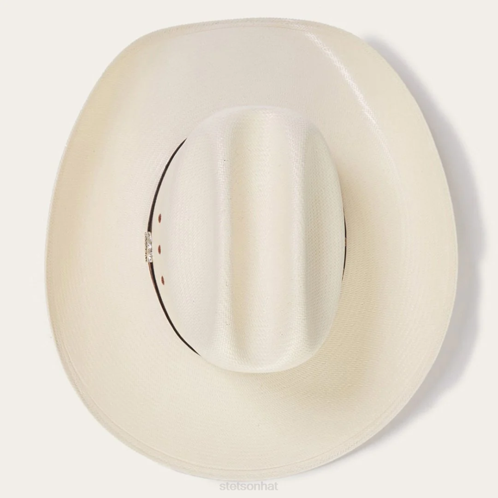 Stetson Haywood 10X Straw Cowboy Hat Natural Unisex Headwear 00LX178
