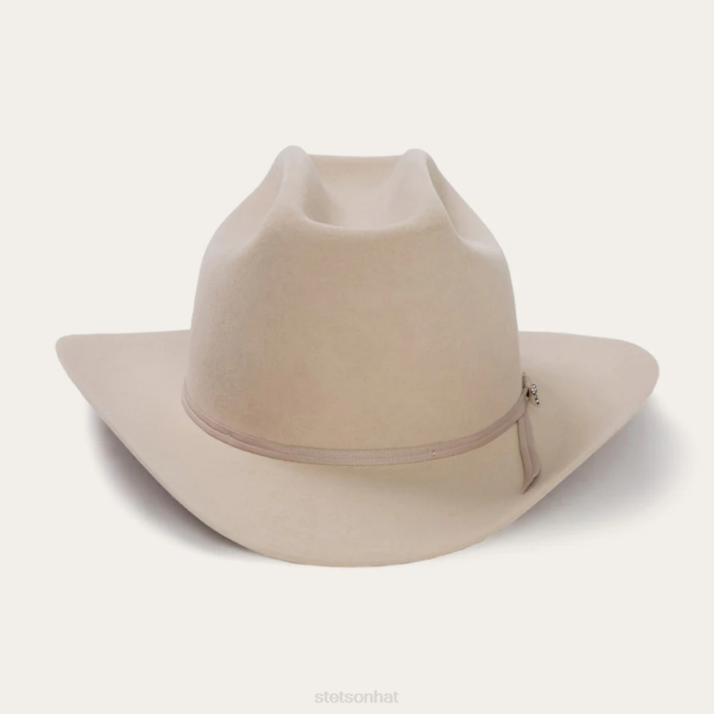Stetson Range 6X Cowboy Hat Silverbelly Unisex Headwear 00LX77
