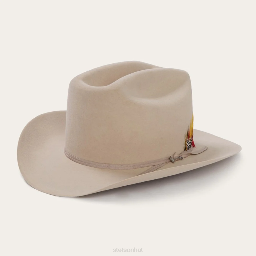 Stetson Range 6X Cowboy Hat Silverbelly Unisex Headwear 00LX77