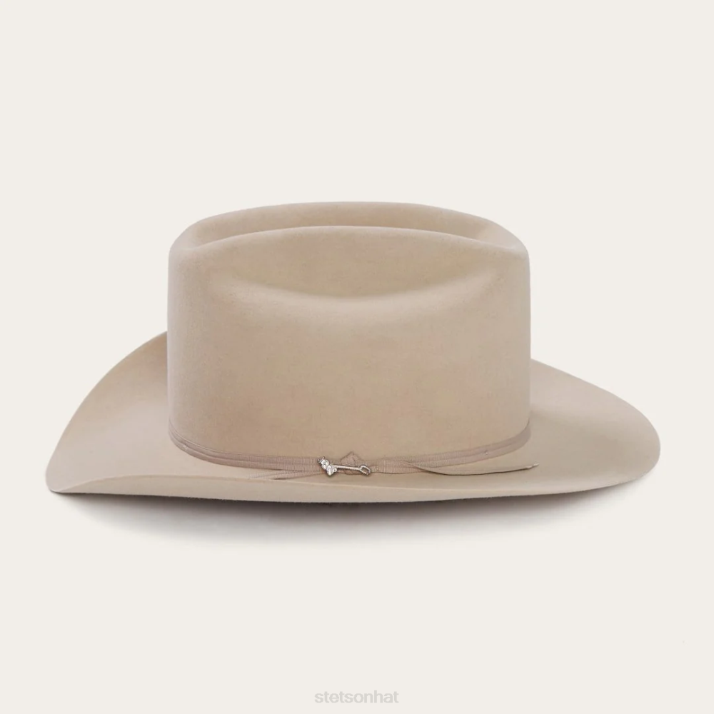 Stetson Range 6X Cowboy Hat Silverbelly Unisex Headwear 00LX77