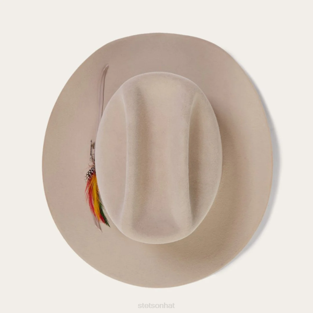 Stetson Range 6X Cowboy Hat Silverbelly Unisex Headwear 00LX77