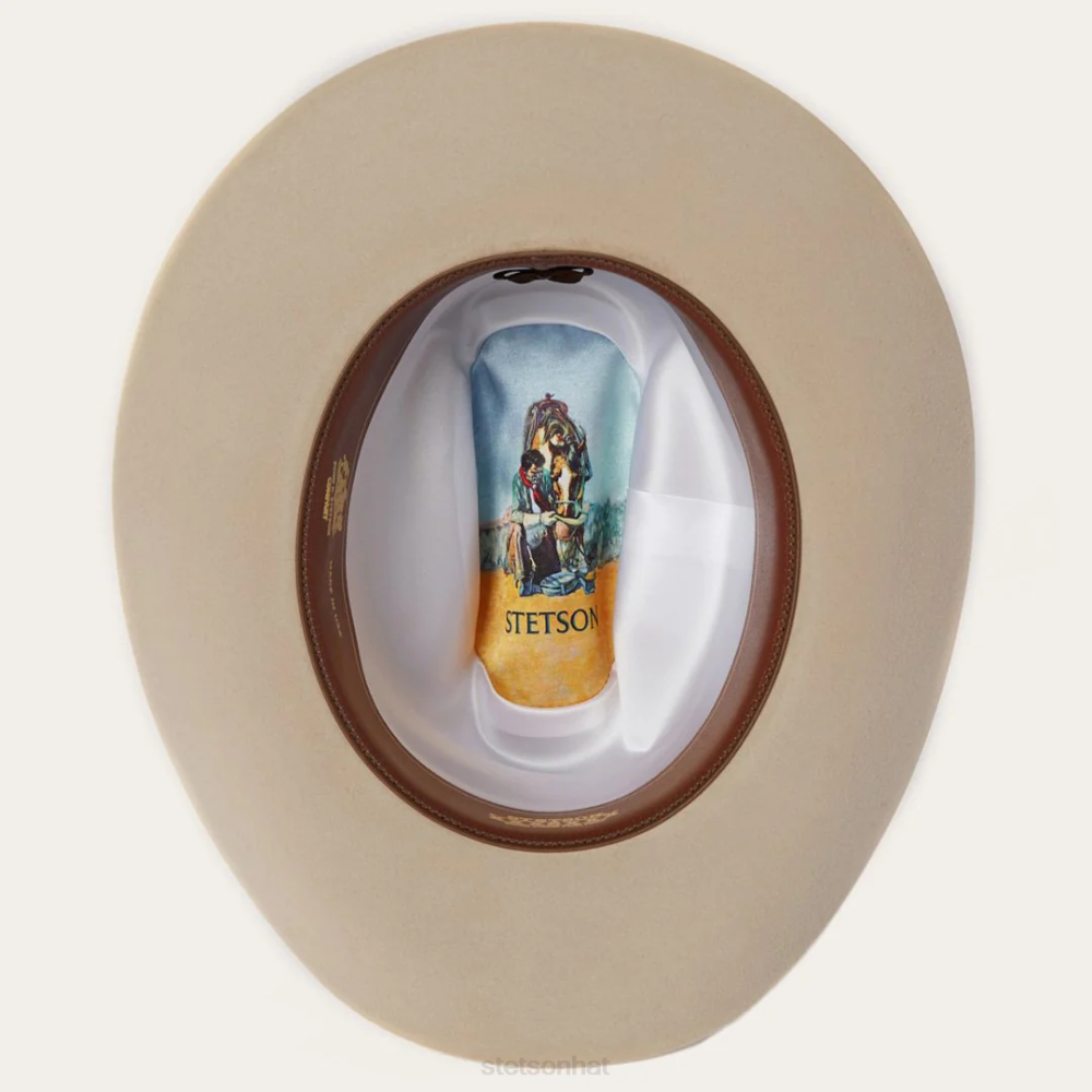 Stetson Range 6X Cowboy Hat Silverbelly Unisex Headwear 00LX77