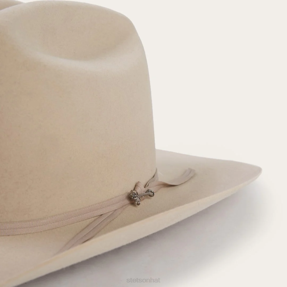 Stetson Range 6X Cowboy Hat Silverbelly Unisex Headwear 00LX77