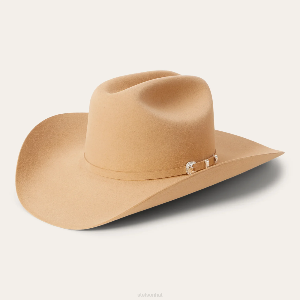 Stetson Shasta 10X Premier Cowboy Hat Butterscotch Unisex Headwear 00LX115