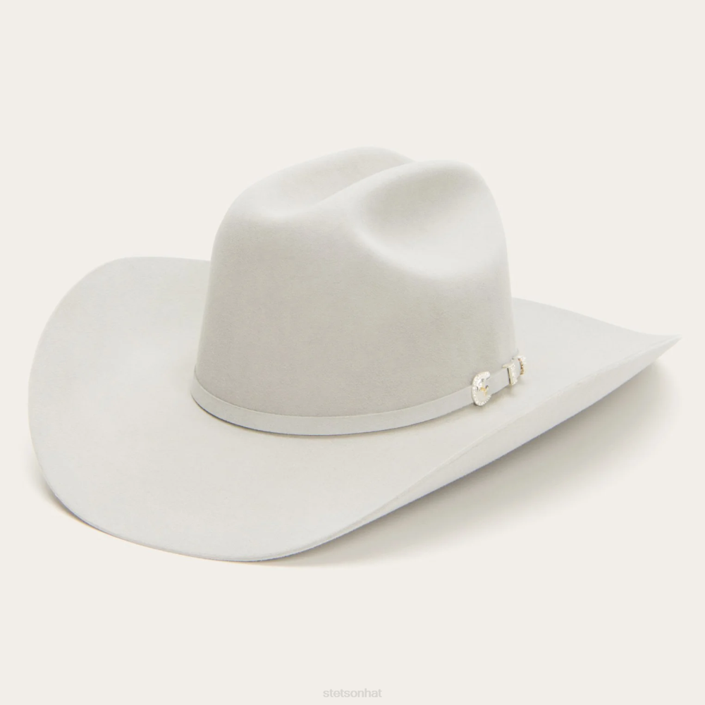 Stetson Shasta 10X Premier Cowboy Hat Mist Grey Unisex Headwear 00LX4