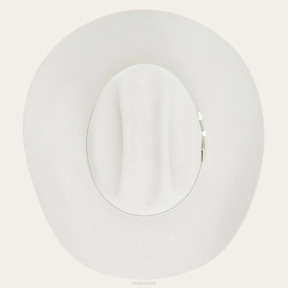 Stetson Shasta 10X Premier Cowboy Hat Mist Grey Unisex Headwear 00LX4