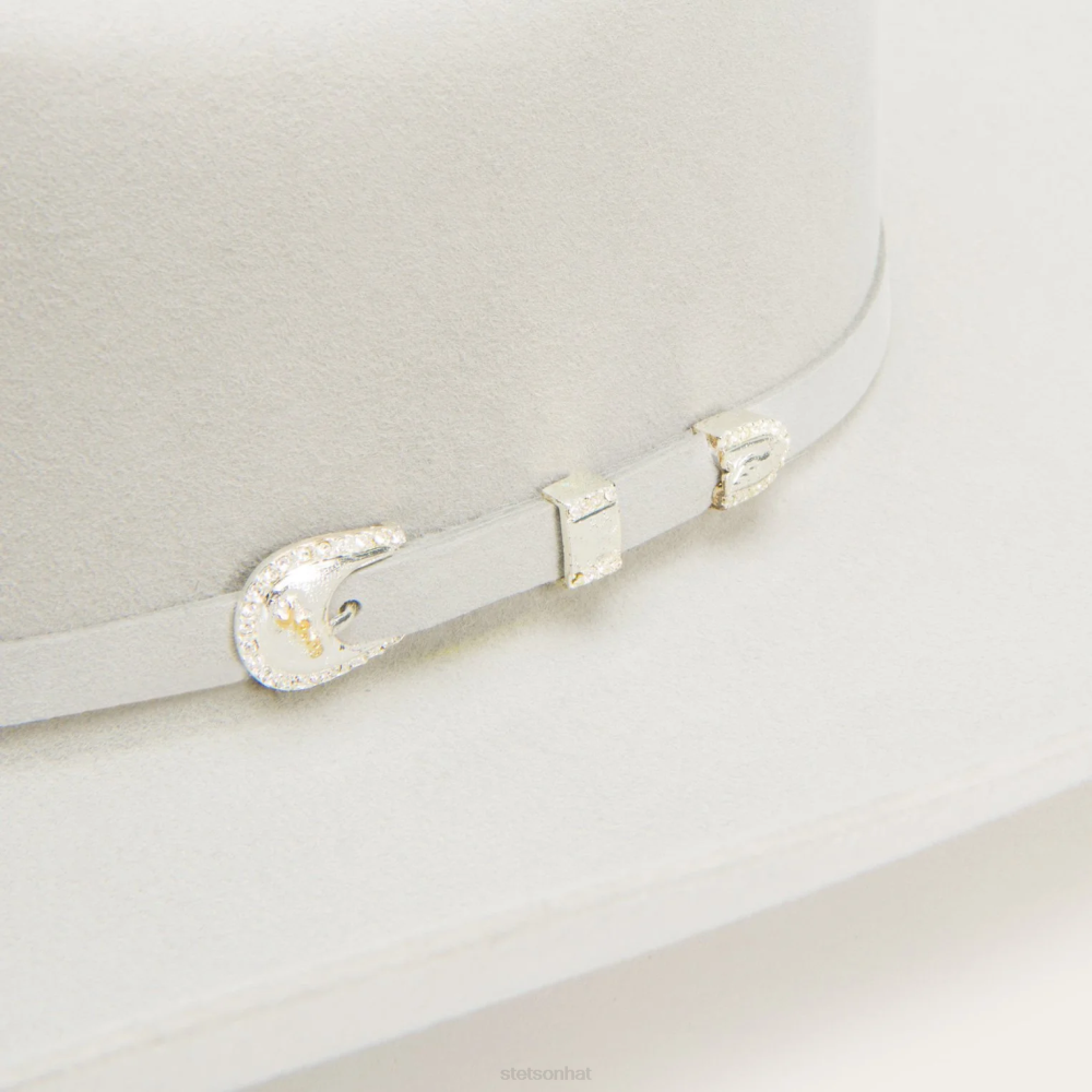 Stetson Shasta 10X Premier Cowboy Hat Mist Grey Unisex Headwear 00LX4