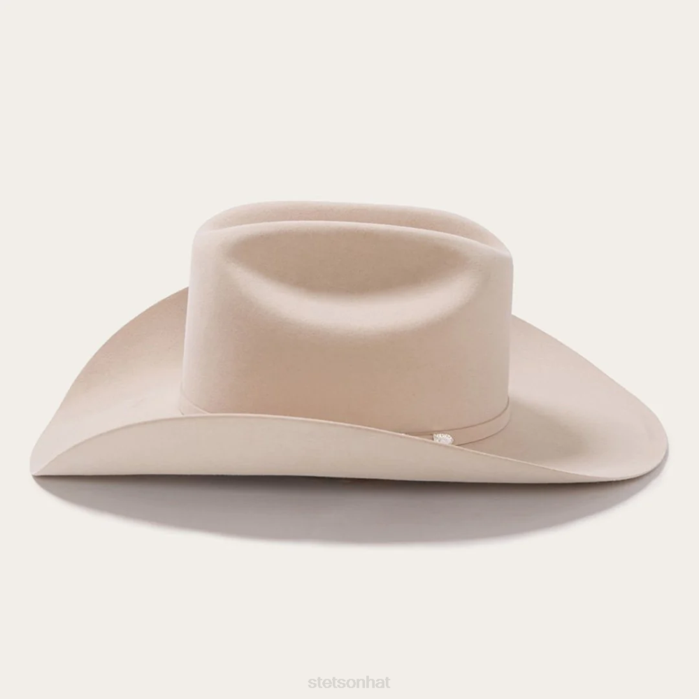 Stetson Shasta 10X Premier Cowboy Hat Silverbelly Unisex Headwear 00LX8