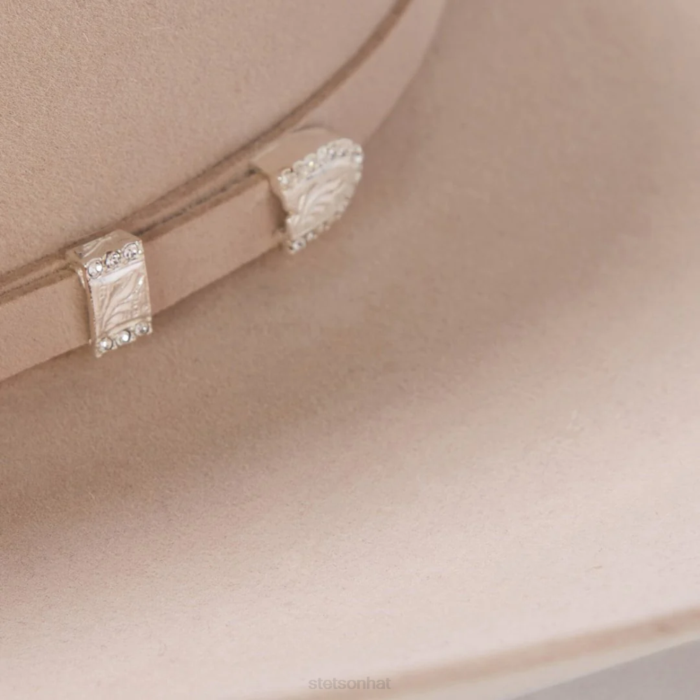 Stetson Shasta 10X Premier Cowboy Hat Silverbelly Unisex Headwear 00LX8