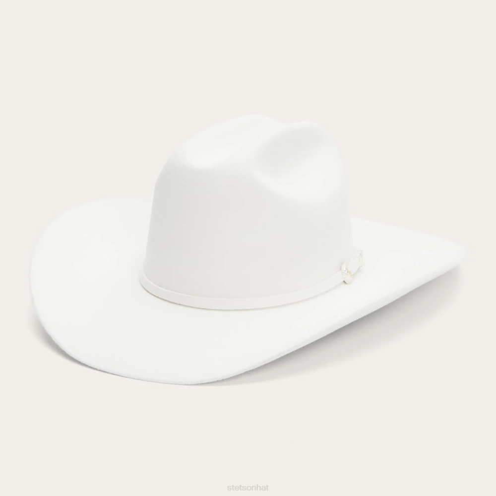 Stetson Shasta 10X Premier Cowboy Hat White Unisex Headwear 00LX68