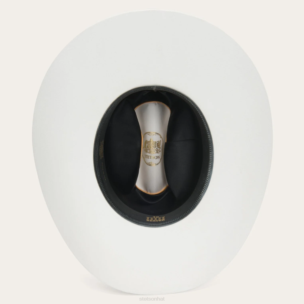 Stetson Shasta 10X Premier Cowboy Hat White Unisex Headwear 00LX68