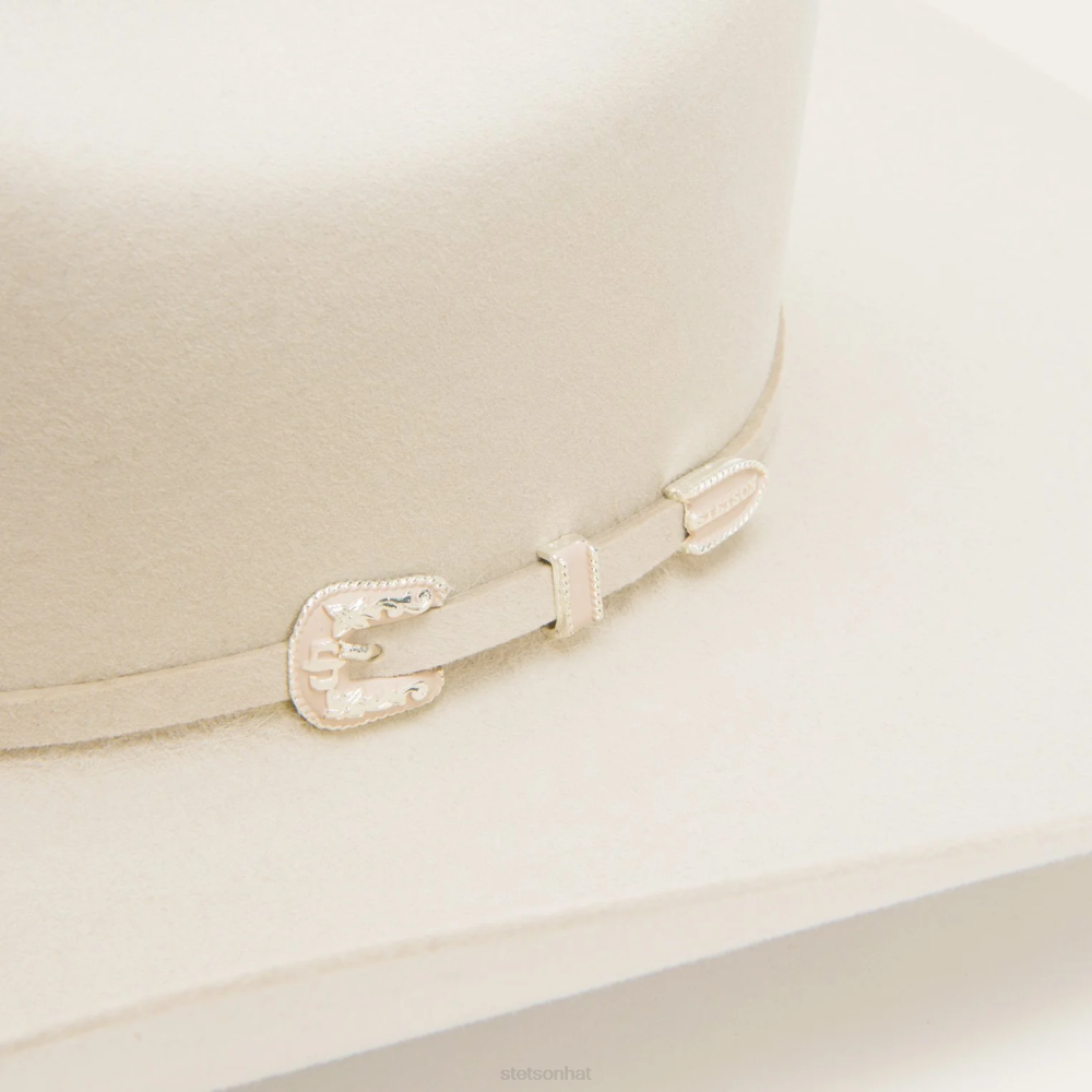 Stetson Skyline 6X Cowboy Hat Silverbelly Unisex Headwear 00LX5