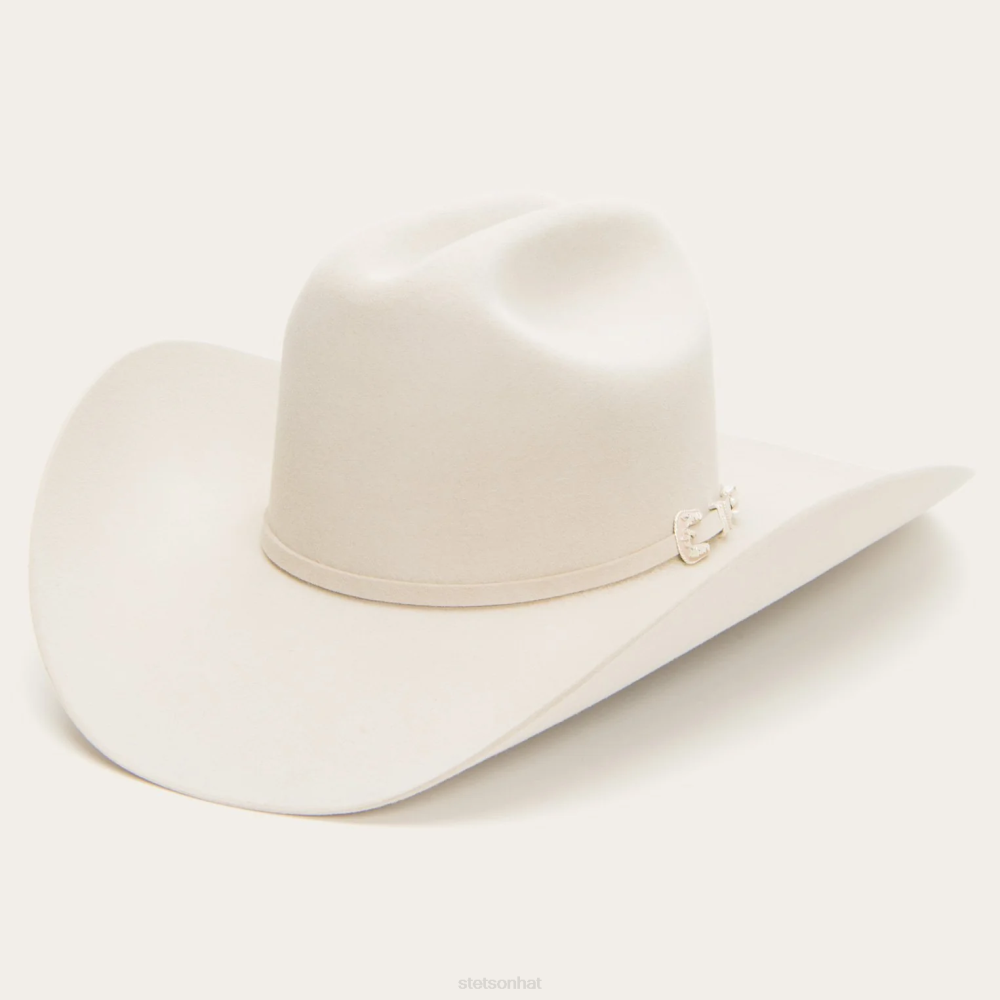 Stetson Skyline 6X Cowboy Hat Silverbelly Unisex Headwear 00LX5