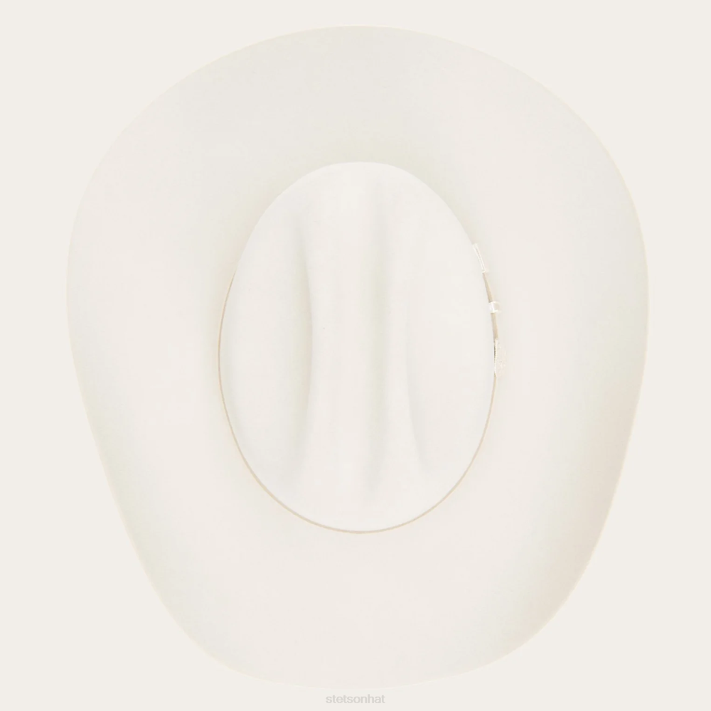 Stetson Skyline 6X Cowboy Hat Silverbelly Unisex Headwear 00LX5