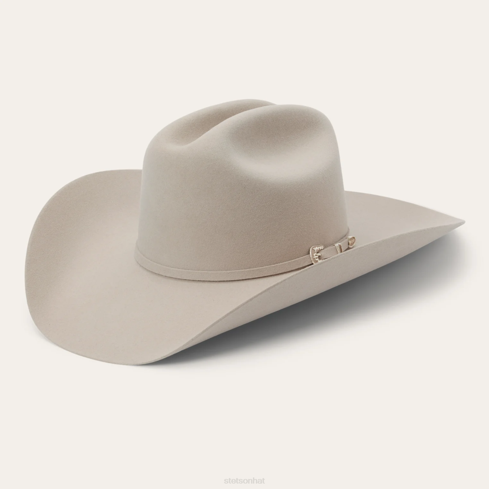 Stetson Skyline 7242 6X Cowboy Hat Silverbelly Unisex Headwear 00LX215