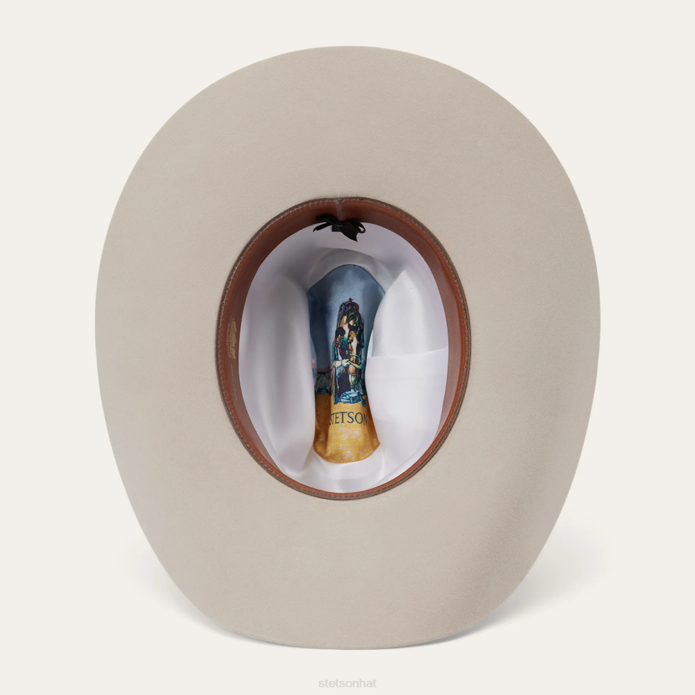 Stetson Skyline 7242 6X Cowboy Hat Silverbelly Unisex Headwear 00LX215