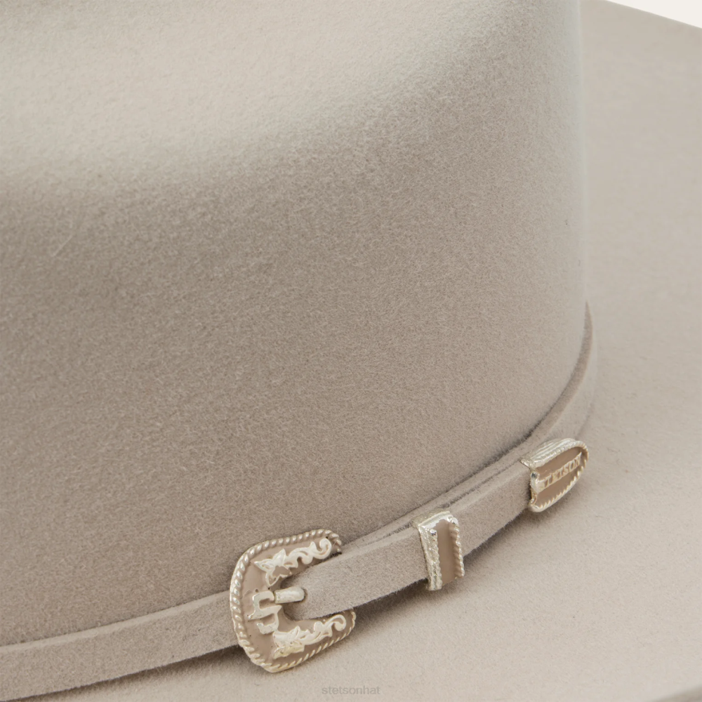 Stetson Skyline 7242 6X Cowboy Hat Silverbelly Unisex Headwear 00LX215