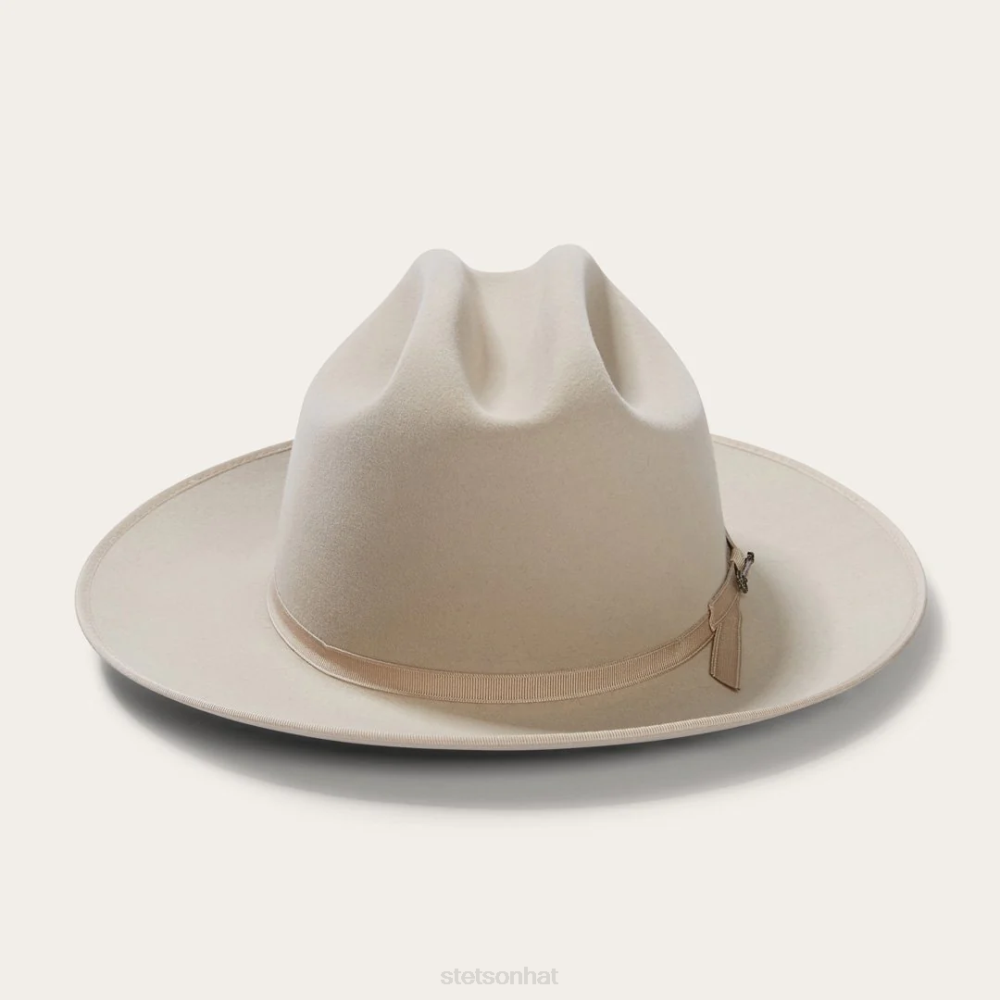 Stetson Open Road Royal Deluxe Hat Silverbelly Unisex Headwear 00LX75