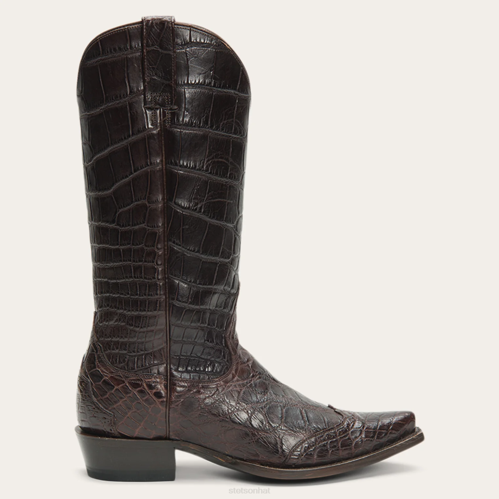 Stetson Lola Boots Brown Women Footwear 00LX259